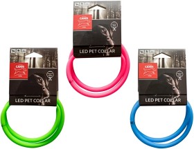 Kuva Active Canis USB Led Collar LED-valopanta