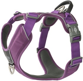 Kuva DOG Copenhagen Comfort Walk Pro Harness koiran valjaat, L-XL, Purple Passion