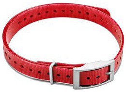 Kuva Garmin koiran kaulapanta T5 mini - Punainen (neliönmallinen solki)