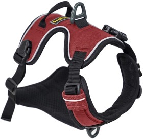 Kuva OllyDog Alpine Reflective Harness valjaat, punainen