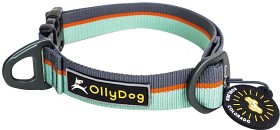 Kuva OllyDog Flagstaff Collar Surf