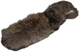 Kuva PAW of Sweden Dummy Kani Pocket 80 g