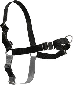 Kuva Petsafe Easywalk Vetovaljas-Musta-M