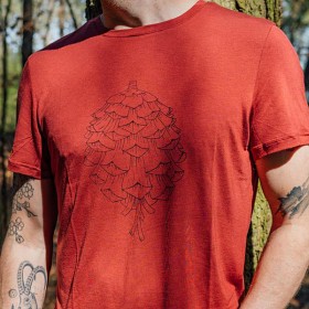 Kuva Röjk M's Stroller Merino Tee Red Pine Cone