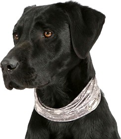 Kuva Scruffs insect shield doggy snood -tuubihuivi