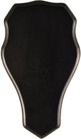 Kuva Grey Oak -peuratrofeen taustalevy, 33 x 19 cm, tumma tammi