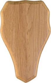 Kuva Grey Oak -kauristrofeen taustalevy, 23 x 14 cm, vaalea tammi