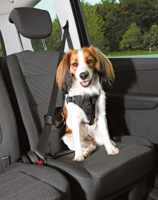 Bild på Trixie Dog Protect -koiran turvavaljaat autoon 