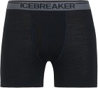 Icebreaker M's Anatomica Boxers w Fly Black