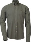 Laksen Oliver Shirt Cotton kauluspaita, harmaanvihreä