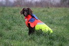 Mikael Tham Tuskproof koiran suojaliivi villisian metsästykseen, XL, oranssi