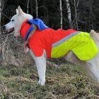 Mikael Tham Tuskproof koiran suojaliivi susisuojalla, XL, oranssi