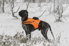 Tracker Koiraliivi Kardog Raipe, Artemis & Supra-tutkalle
