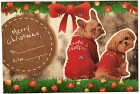 Treateaters Christmas Calendar Premium koirien joulukalenteri